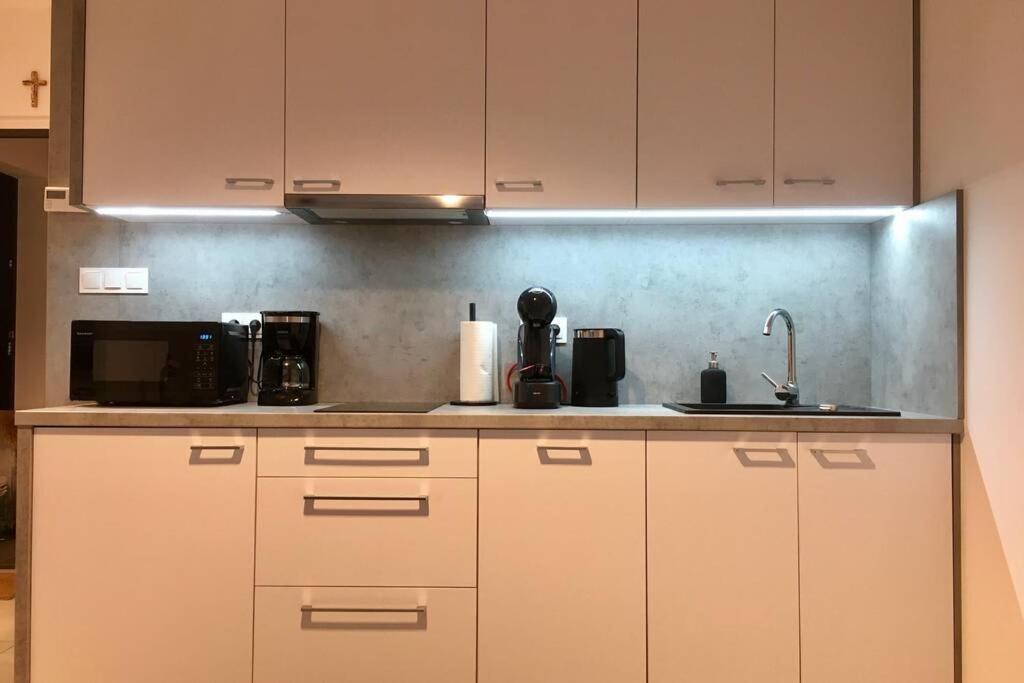 Apartament Fibra Brownie 雷布尼克 外观 照片